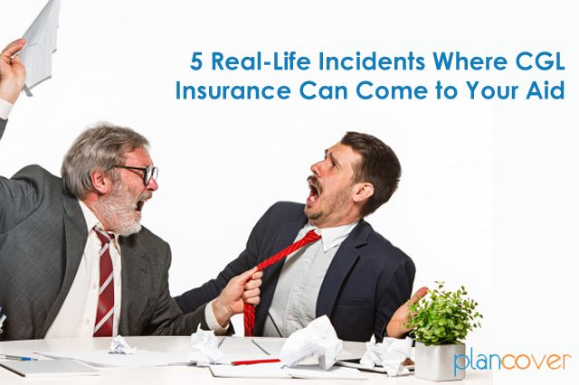 Real Insurance The Basics